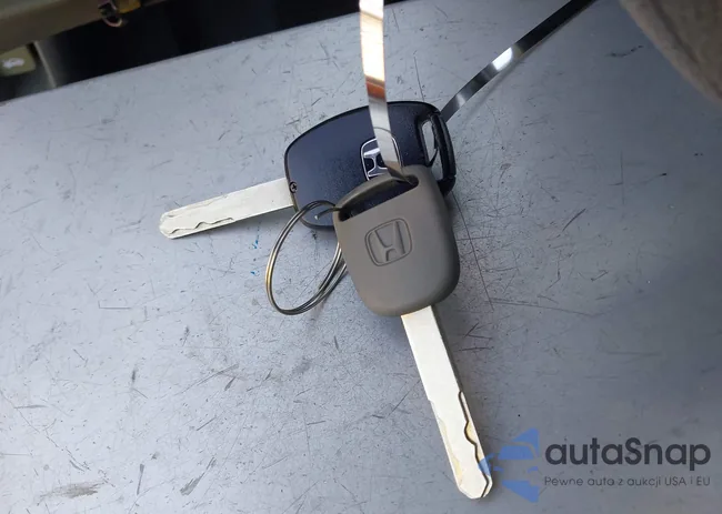 19XFB2F59CE336521: 43365484