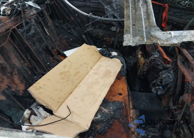 WDDGF5EBXBA499803: 43367039