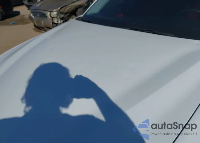 ZARFAMAN3L7626670: 43369788