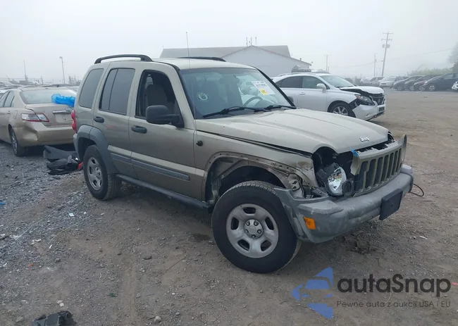 1J4GL48K96W132807: 43370502