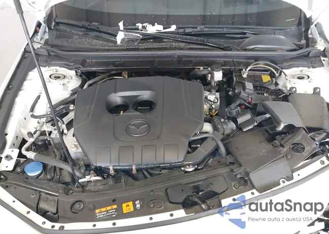 JM1BPAMM4P1618627: 43370639