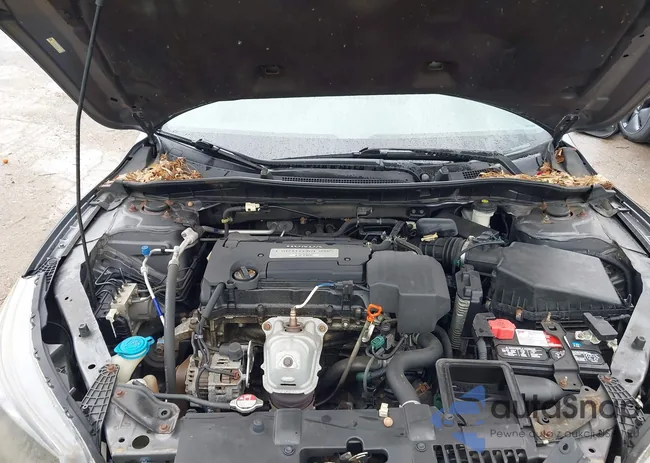 1HGCR2F3XDA004431: 43371874