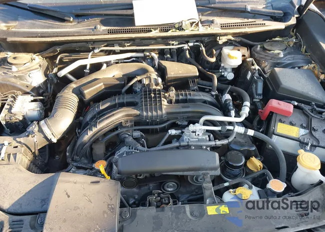 JF2GTAECXM8305187: 43372038