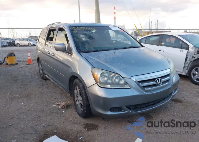 5FNRL38437B039846: 43373253