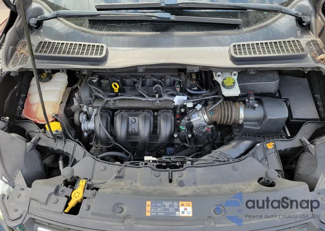 1FMCU0G72GUC85836: 43373899