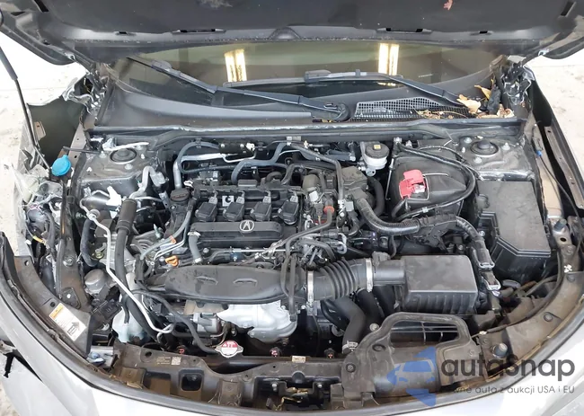 19UDE4H69RA010991: 43373981