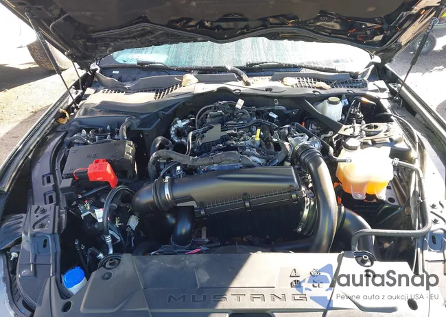 1FAGP8UH3R5136797: 43374128