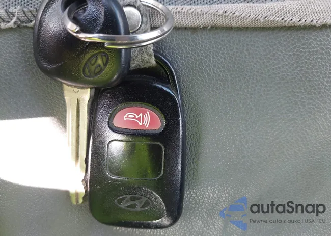 5NPDH4AE5DH324971: 43373436