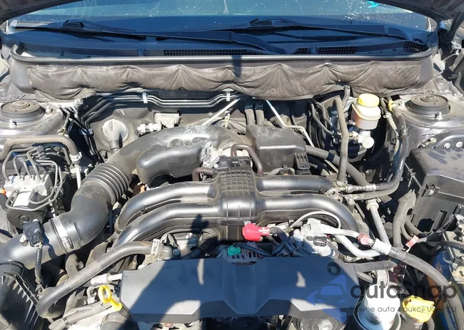 4S4BRCGCXD3214266: 43375921