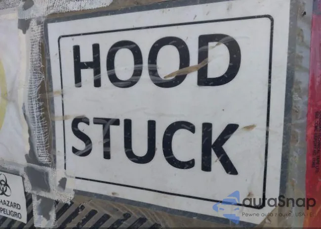 3FA6P0T92GR203584: 43377294