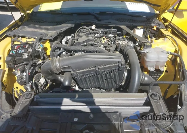 1FAGP8UHXR5141379: 43377499