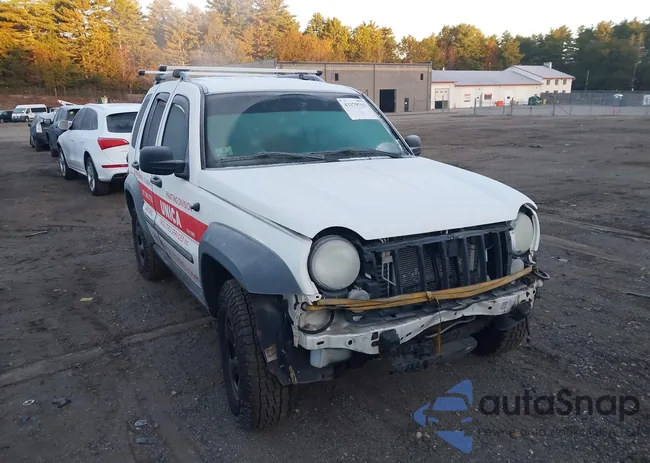 1J4GL48K36W264705: 43379793