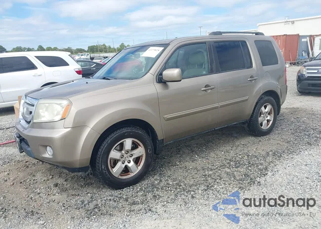 5FNYF3H67BB027681: 43379828