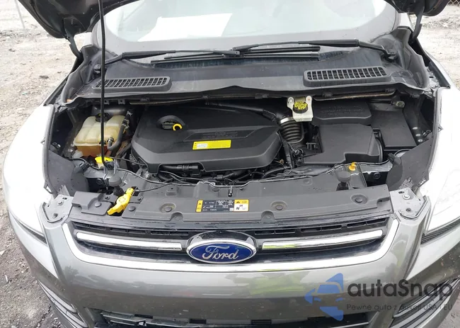 1FMCU0JX7EUA97156: 43379839