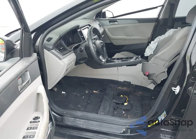 5NPE24AF9JH707869: 43379543