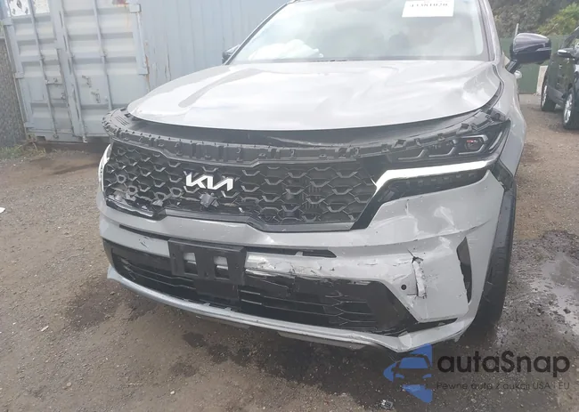 5XYRKDLF9PG234490: 43381020