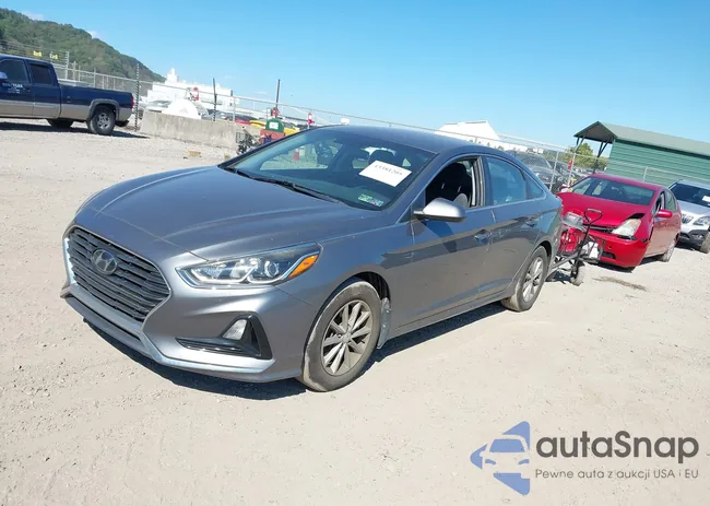 5NPE24AF6KH734349: 43381205