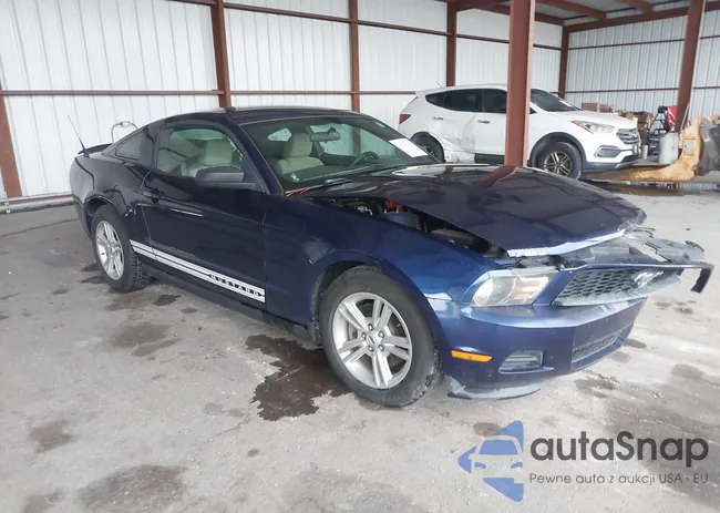 1ZVBP8AM0C5221185: 43381944