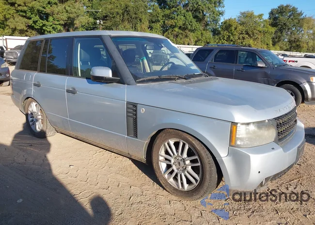 SALME1D41BA343072: 43381307