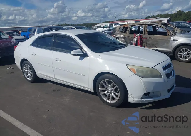 1G11C5SA0DF313303: 43381613