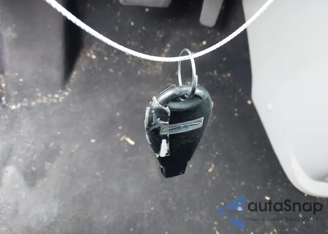 2C4RC1BG6GR231645: 43382731