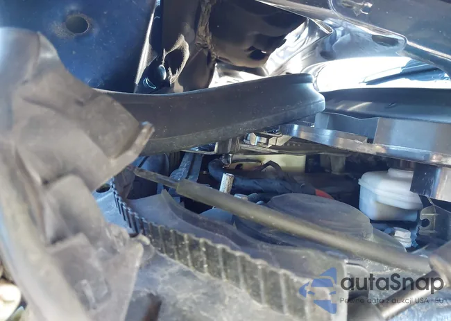 WMWXU1C56G2D09826: 43382943