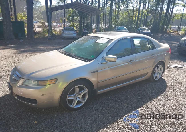 19UUA66294A065411: 43382948