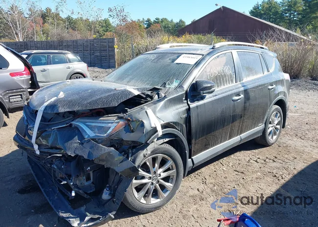 JTMDJREV7GD006887: 43383015