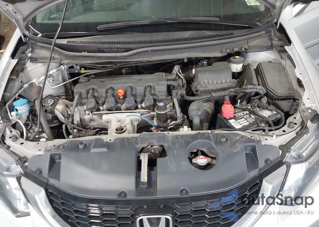 2HGFB2F94FH556095: 43383743