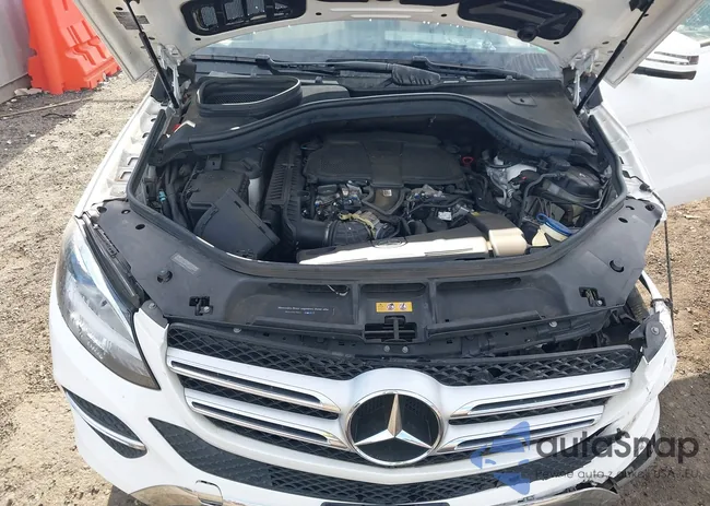 4JGDA5HB7JB156250: 43383795