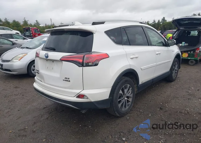 JTMRJREV8JD213107: 43383921