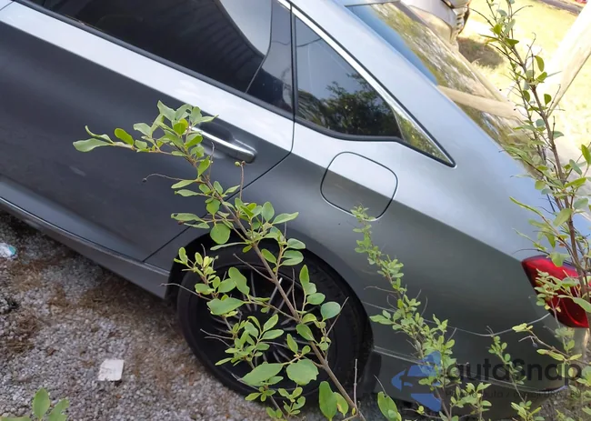 1HGCV2F94KA035848: 43384077