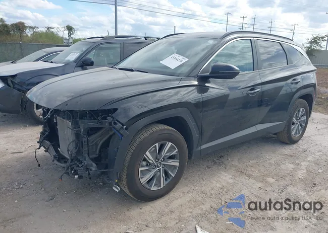 KM8JBCA10NU013950: 43384220