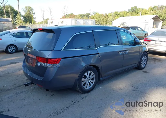 5FNRL5H62EB019937: 43384655