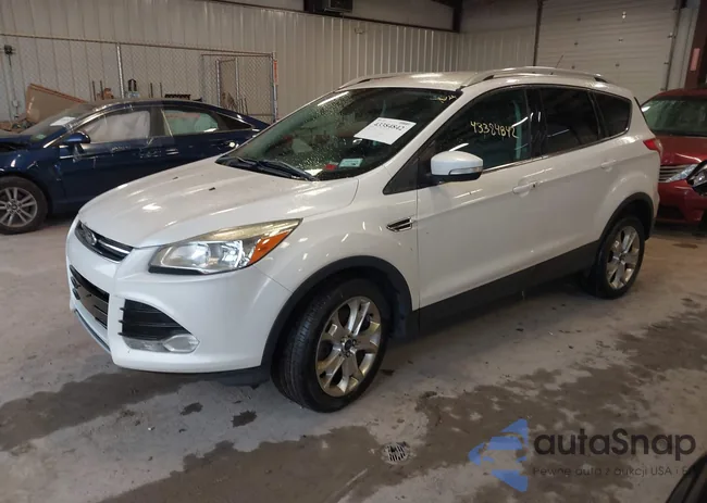 1FMCU9JX7EUC35881: 43384842