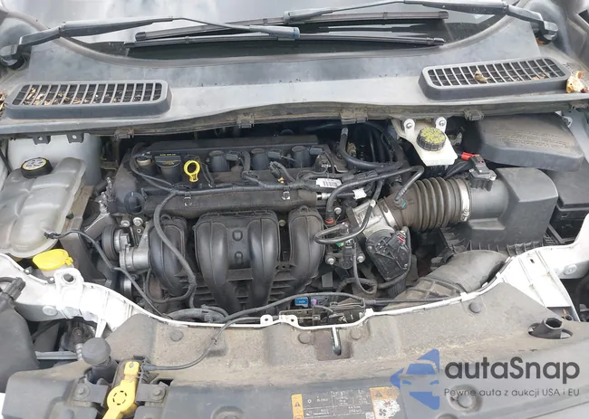 1FMCU0F75DUD04442: 43384430