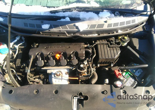 19XFA1F39AE077828: 43386795