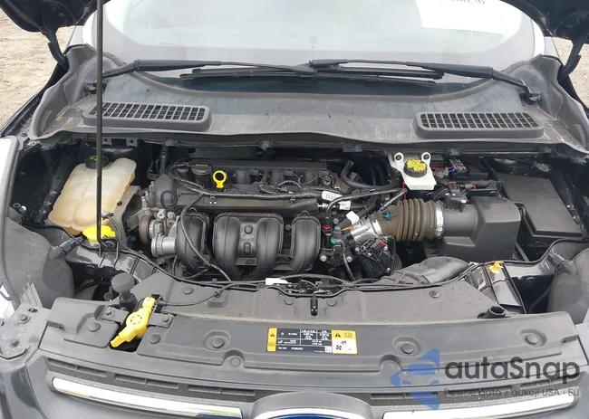 1FMCU0G71FUC41180: 43386856