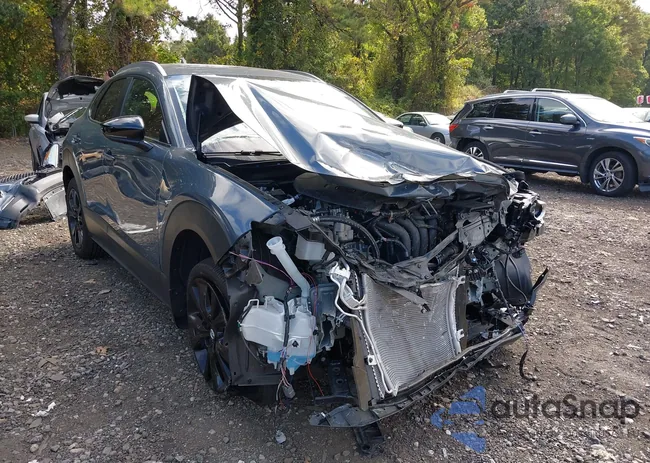 3MVDMBCM9RM607300: 43386930