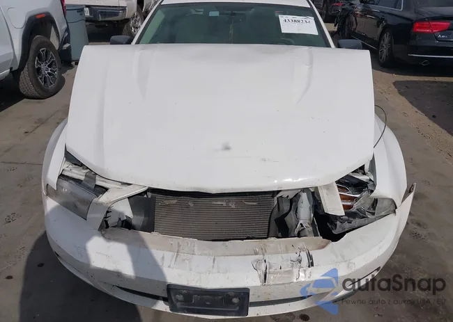 1ZVBP8AM5B5149723: 43388234