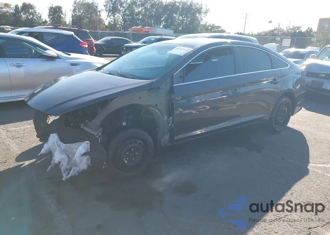 5NPE24AFXGH435311: 43387466