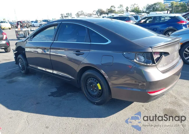 5NPE24AFXGH435311: 43387466