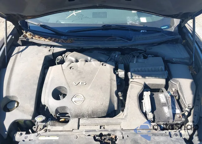 1N4AA5AP9AC803051: 43389592