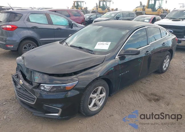 1G1ZB5ST5HF292798: 43391756