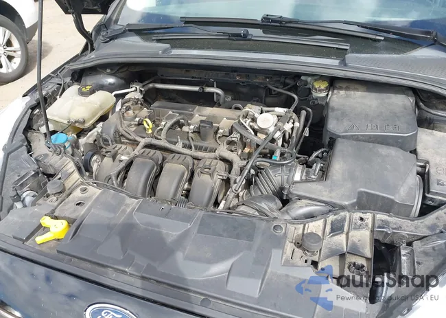 1FADP3F25GL377879: 43391995