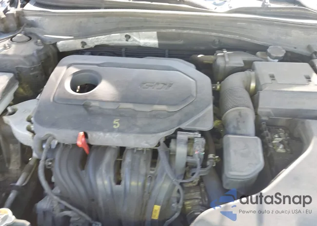 5XXGT4L36KG299028: 43391335