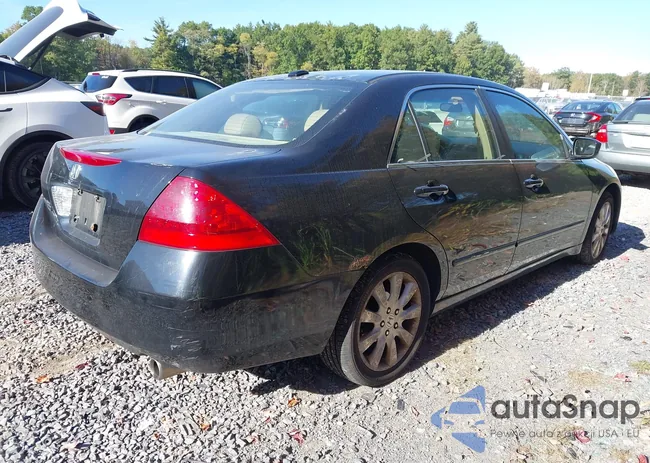 1HGCM66507A079022: 43391365