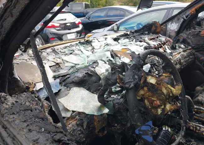 1FM5K8GT6EGA36459: 43391401