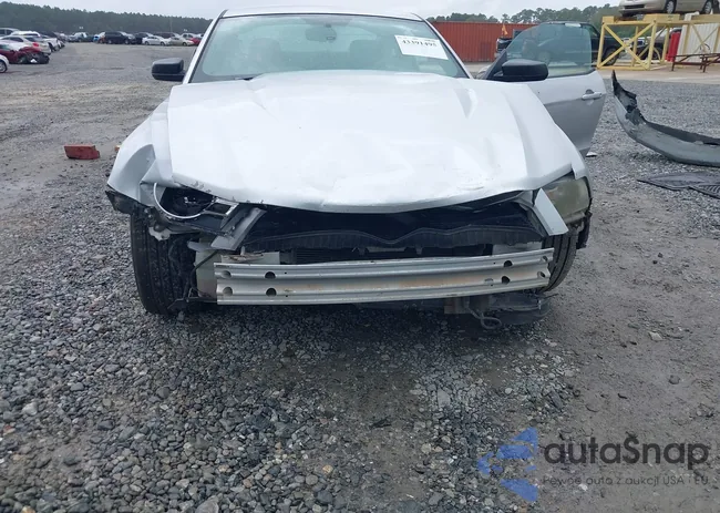 1ZVBP8AMXC5205673: 43391495