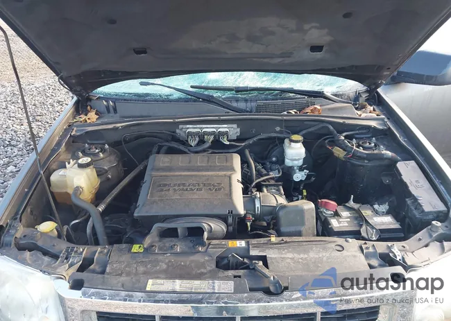 1FMCU9DGXBKA87356: 43392718